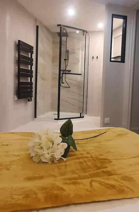 Suite Vinicole Hypercentre, Bastille & Gare 9 Min A Pied Grenoble Exterior photo